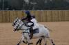 Oxford Polo 2022_12_18 0002